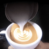 Barista One - Team 100 - Image 5