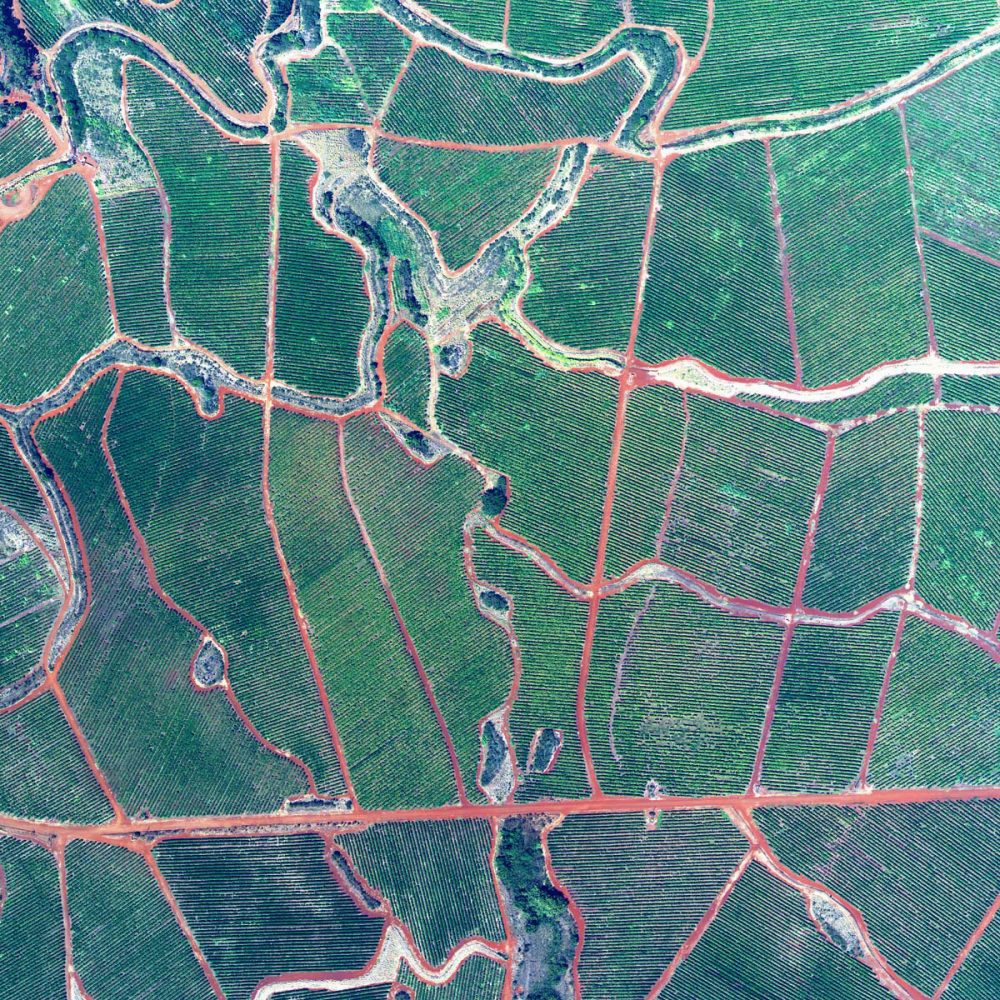 Terroir