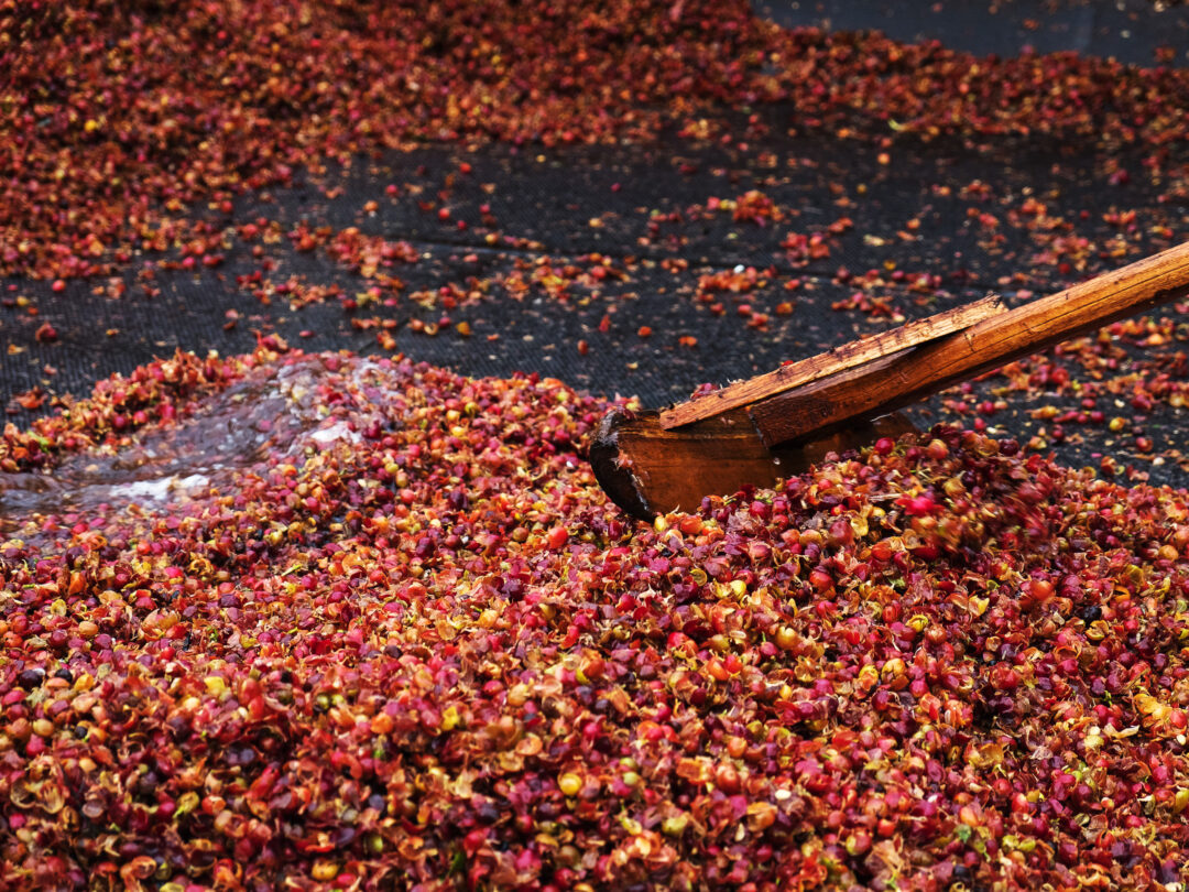 Carbon Footprint of Coffee Processing & Milling