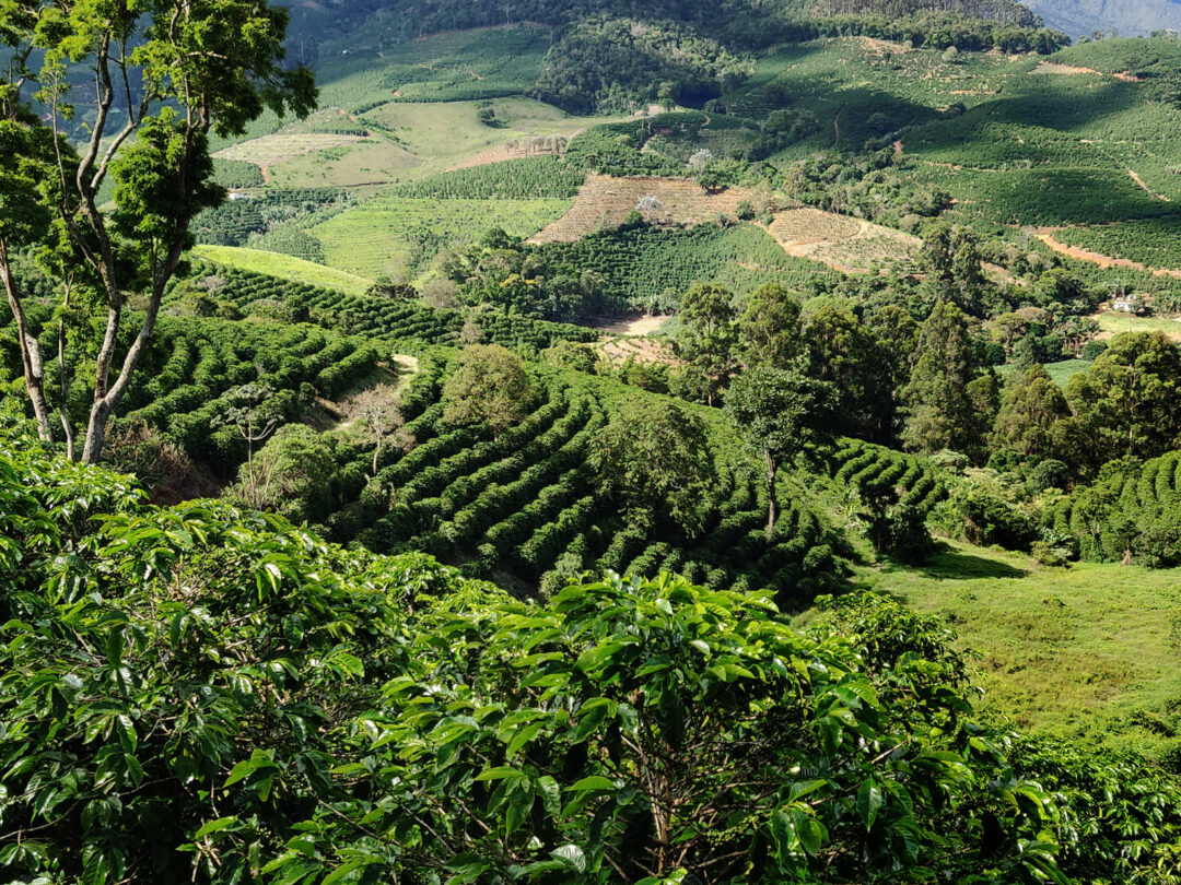 Estimating the Environmental Cost