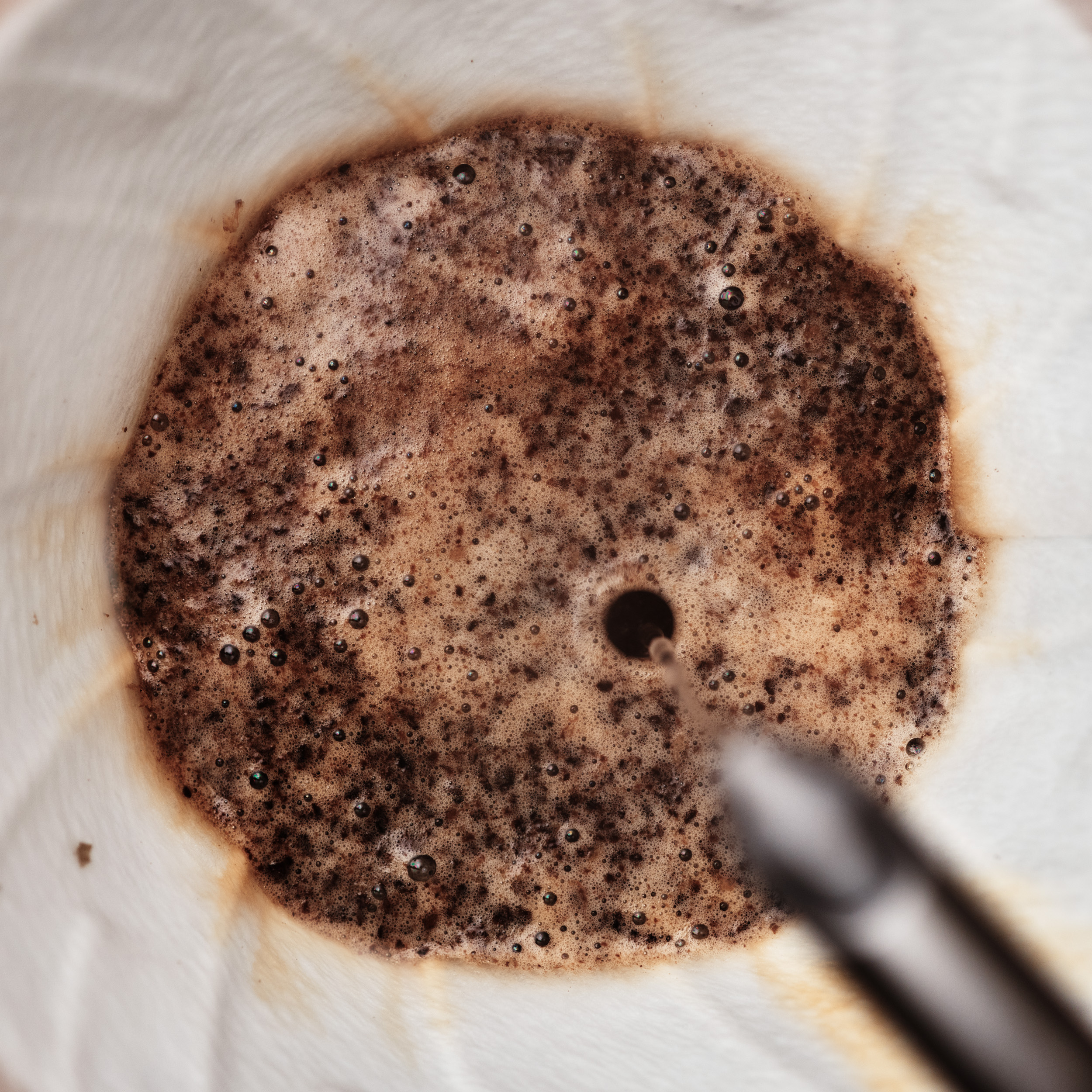 Should You Put Coffee Grounds Down the Sink?