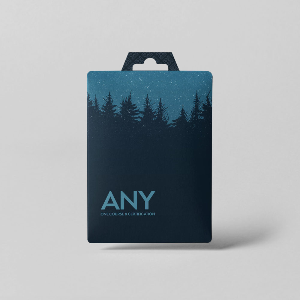 Gift Card - Any One Course & Certification