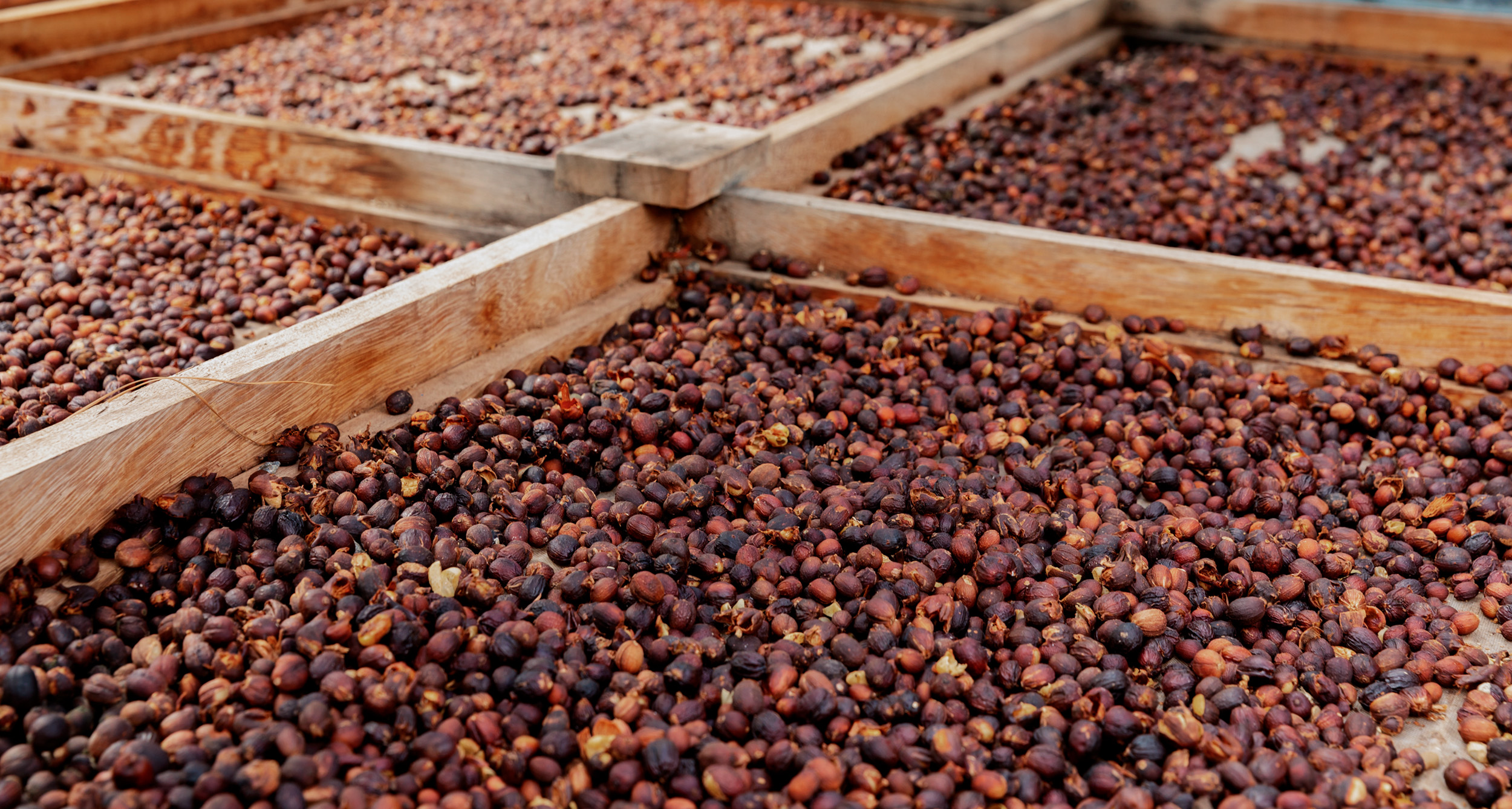 Natural drying store