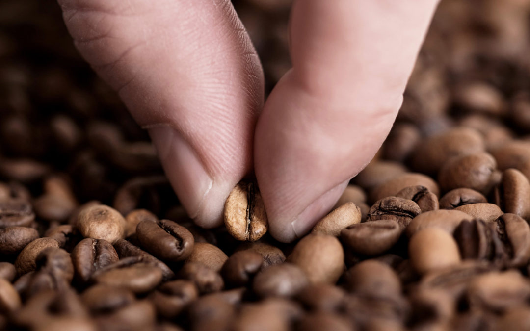 Post-Roast Sorting