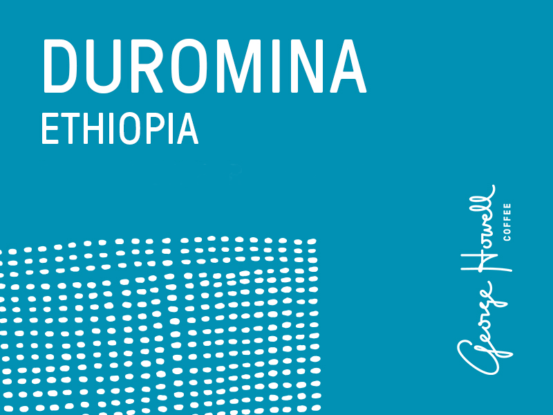 January 2018 — Ethiopian Duromina by George Howell