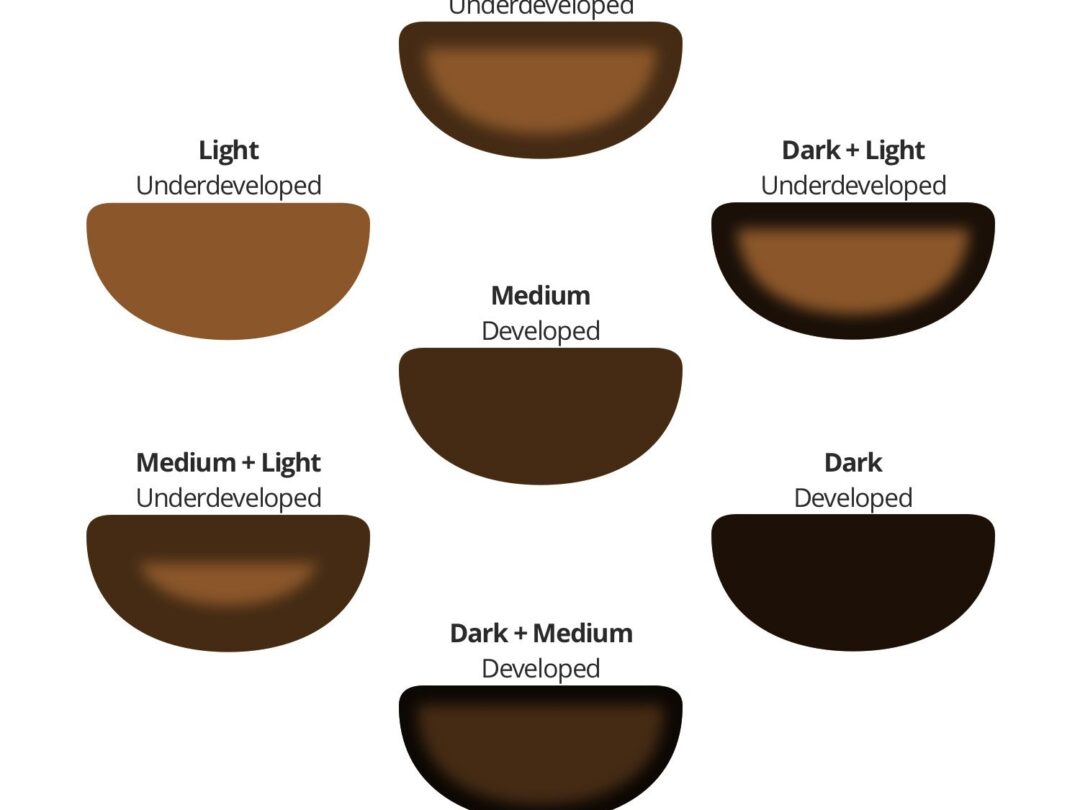 Roast Development and Colour