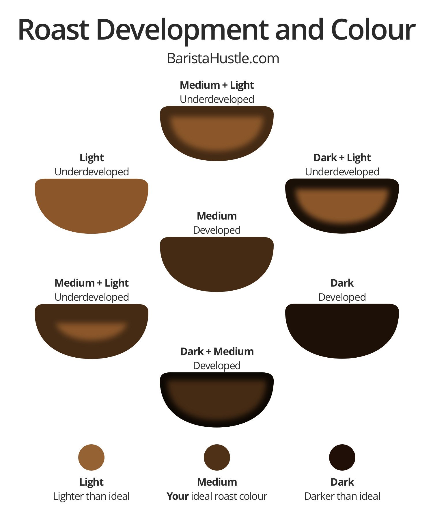 Roast Development and Colour